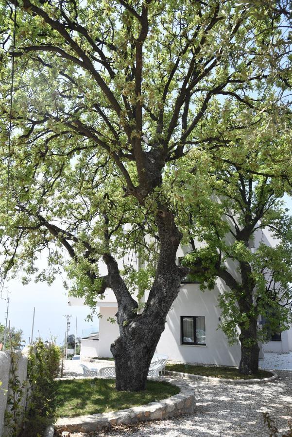 Gogo'S Boutique Hotel Dhermi Exterior photo