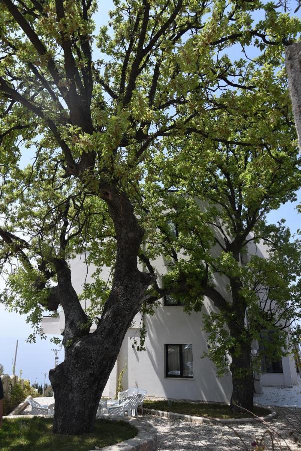 Gogo'S Boutique Hotel Dhermi Exterior photo